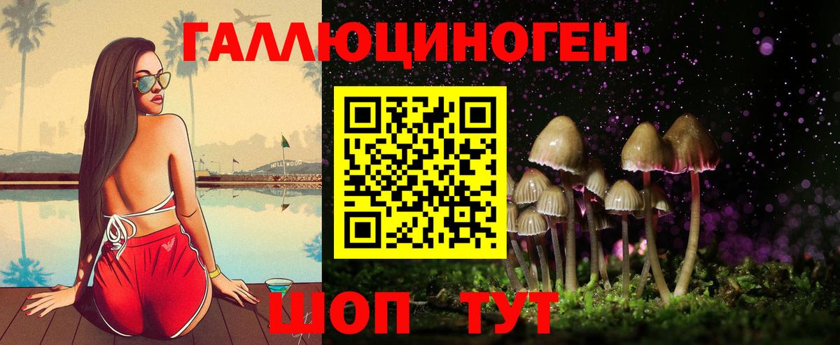 Псилоцибиновые грибы мухоморы Зеленогорск
