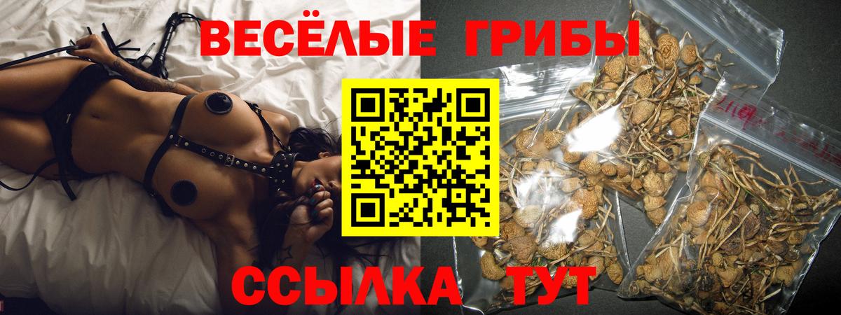 Зеленогорск  Галлюциногенные грибы MAGIC MUSHROOMS  Вход с VPN  Галлюциногенные грибы прущие грибы 